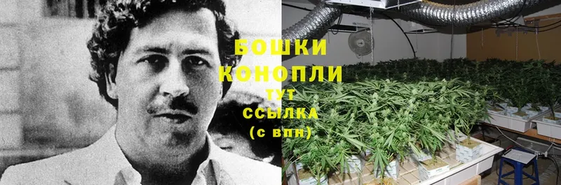 Канабис Ganja  цена   Инта 